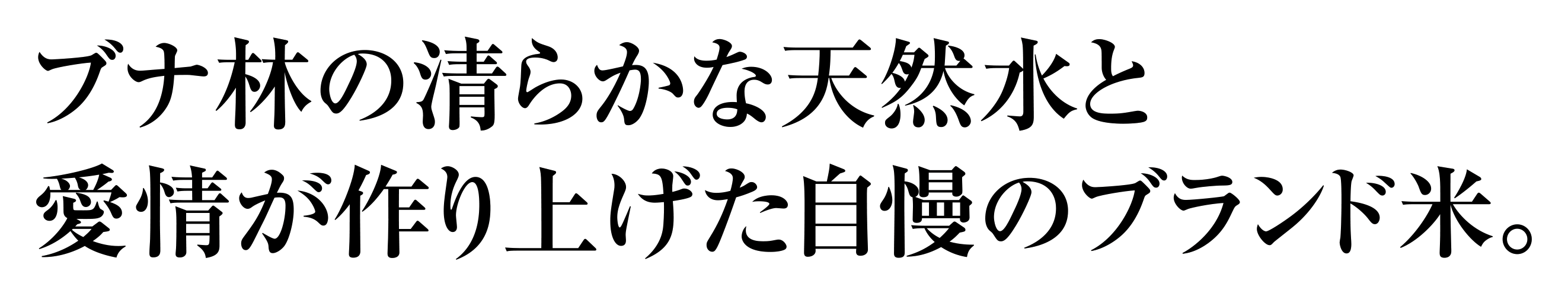 ブナ林の清らかな天然水と愛情が作り上げた自慢のブランド米。